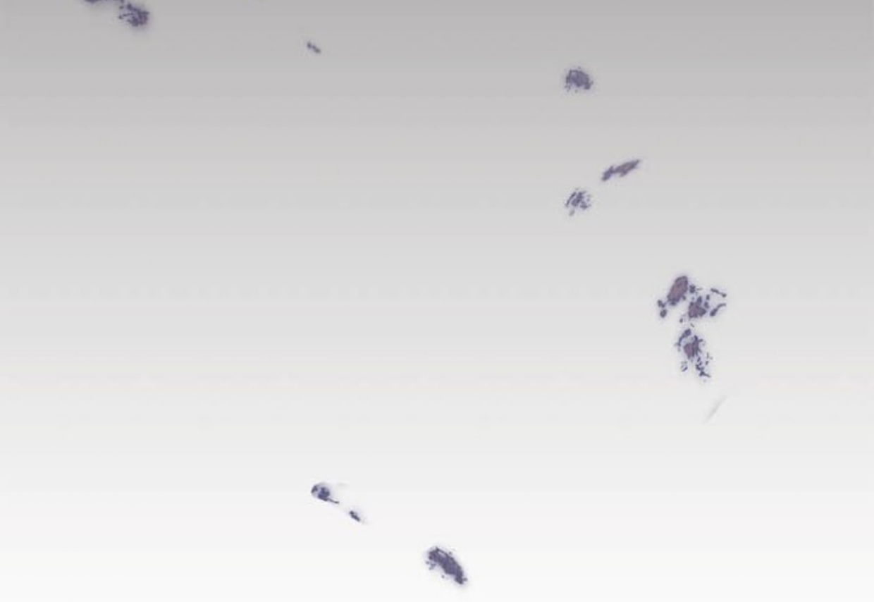 How to Tame The Merciless Villain - Chapter 10 55