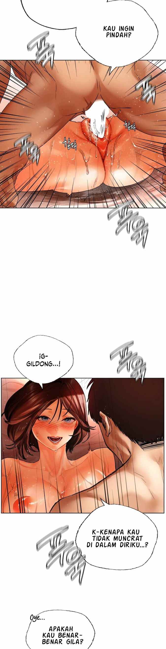 A New Beginning - Chapter 29 30